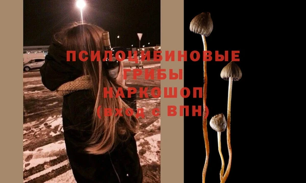 спиды Каменногорск