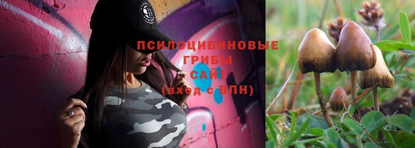 спиды Каменногорск