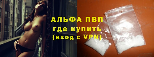 соль ск Каменка