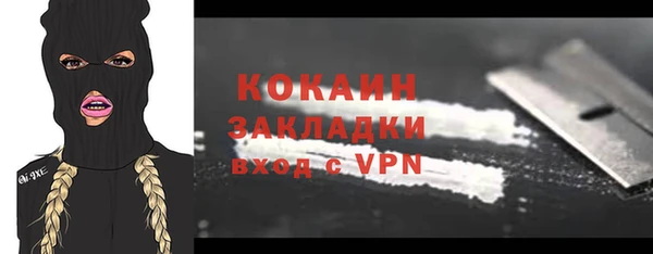 спиды Каменногорск
