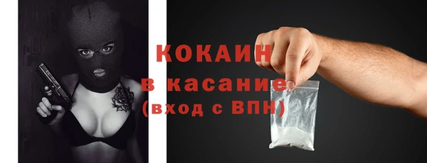 соль ск Каменка