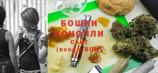соль ск Каменка