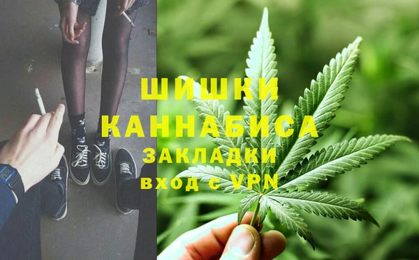 спиды Каменногорск