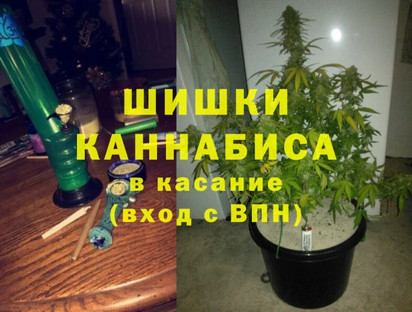 соль ск Каменка