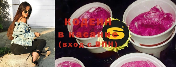 спиды Каменногорск