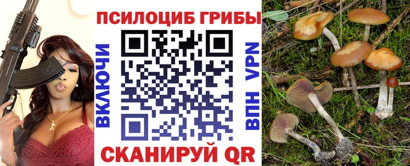 Купить закладки  Новоуральск  Галлюциногенные грибы Magic Shrooms 